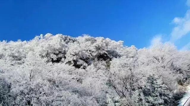 黄金矿工海底版